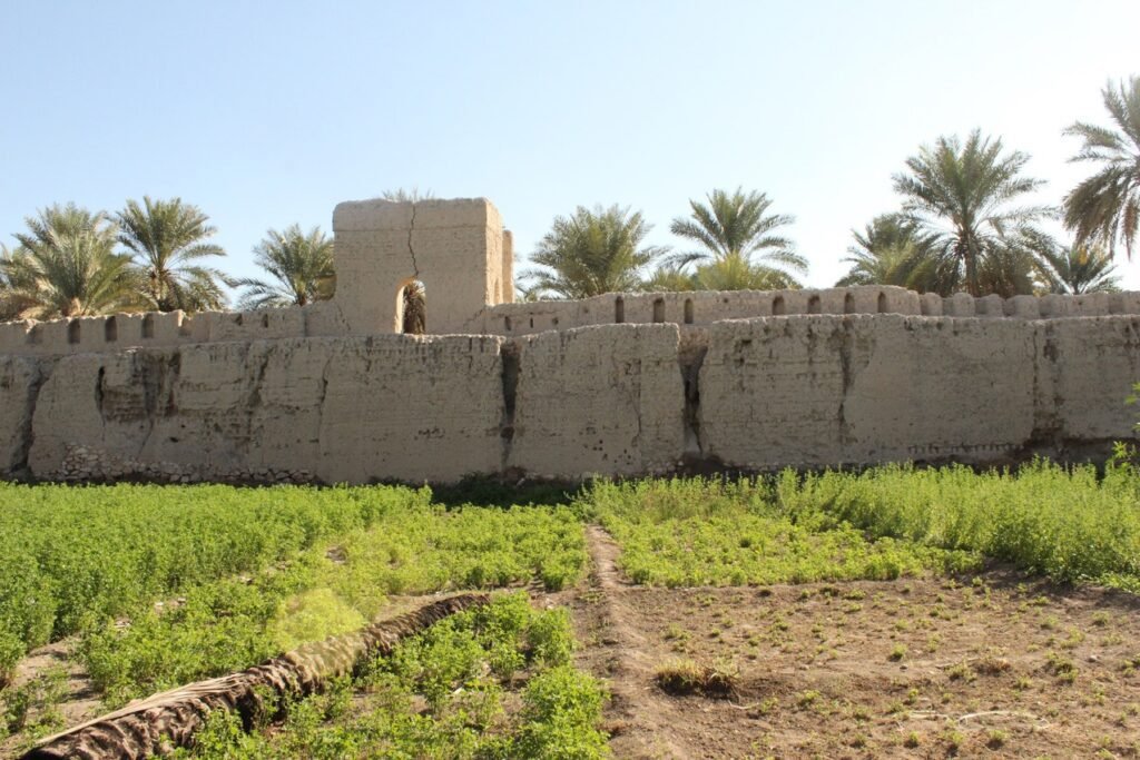 Nizwa, Oman - 2017 - UNESCO Research